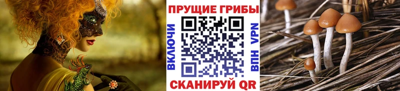 маркетплейс телеграм  Осинники  Галлюциногенные грибы прущие грибы  закладки  мега зеркало 