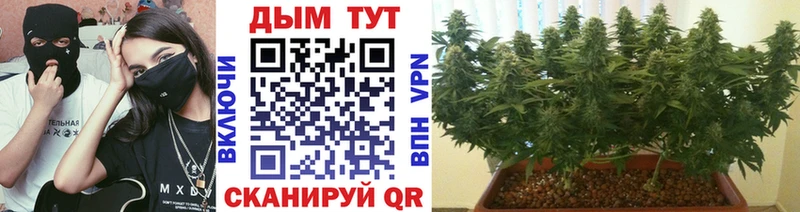 Марихуана гибрид Осинники